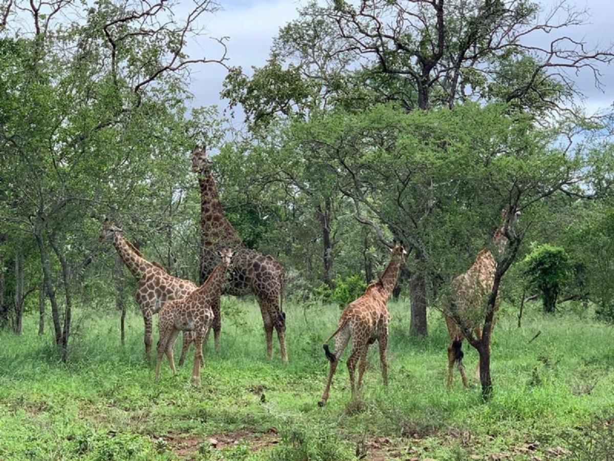 Mbuluzi Game Reserve Simunye Exterior foto