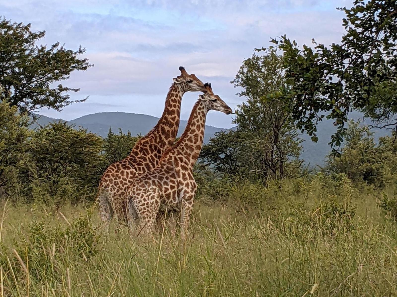 Mbuluzi Game Reserve Simunye Exterior foto