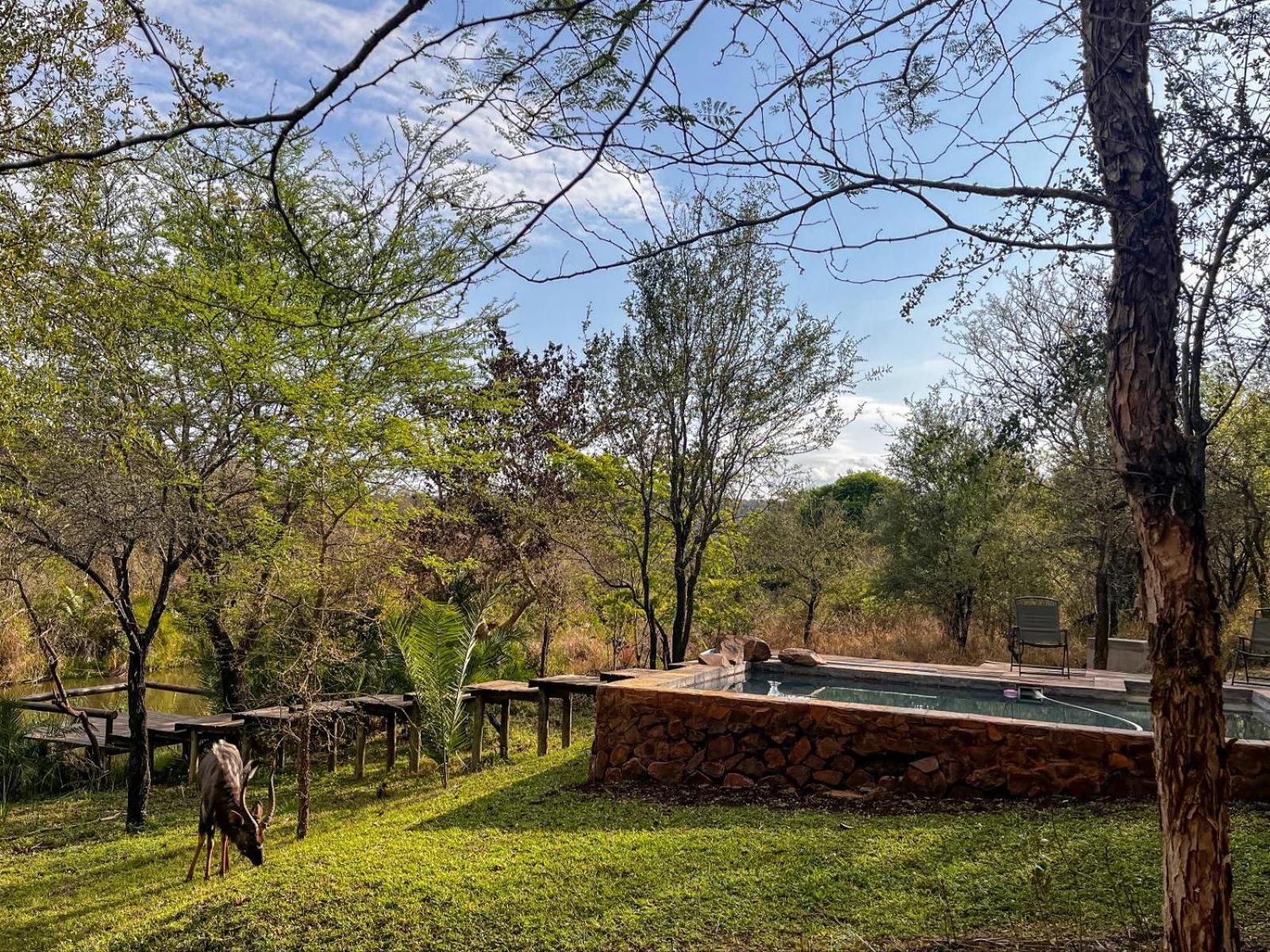 Mbuluzi Game Reserve Simunye Quarto foto