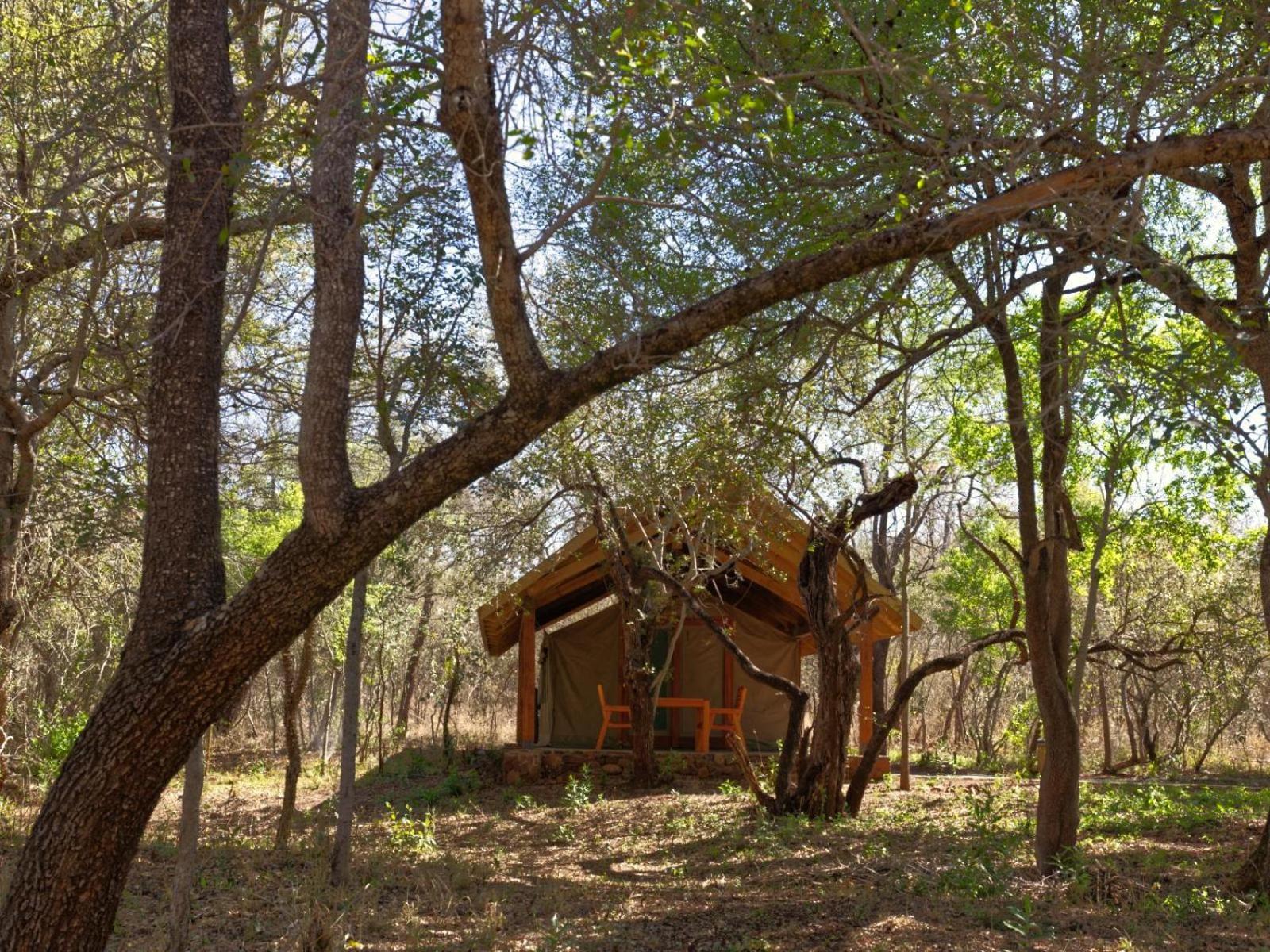 Mbuluzi Game Reserve Simunye Quarto foto